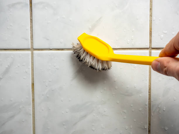 Best Fast Mold Removal  in Euharlee, GA