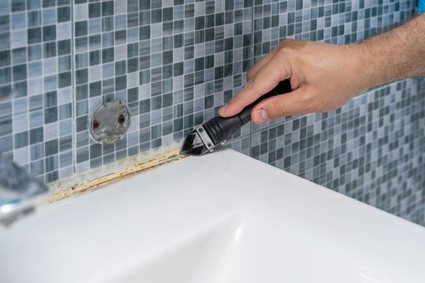 Best Mold Removal Process  in Euharlee, GA