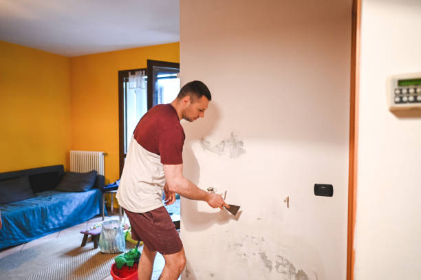 Best Certified Mold Removal  in Euharlee, GA