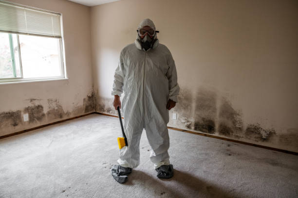 Office Mold Removal Services in Euharlee, GA