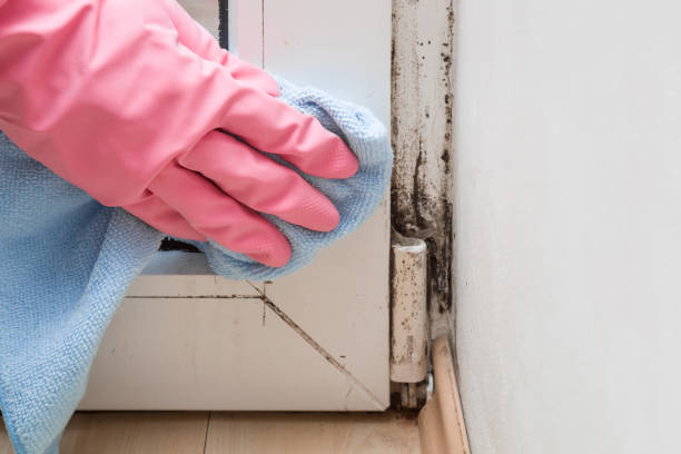 Water Damage Restoration in Euharlee, GA